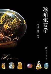 初级会计很偏的题
