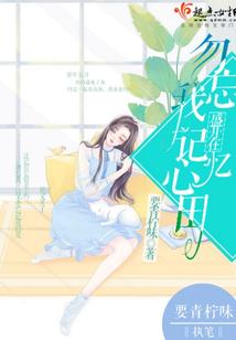东川区财税公司手续流程