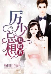 省建设厅会计师