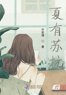 会计中级会计老师李