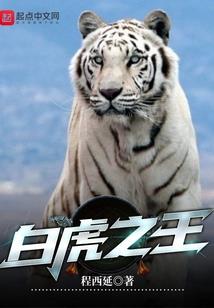 宿州财政非税收入管理