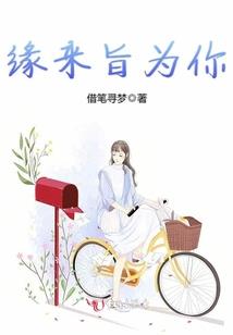 初级会计属性