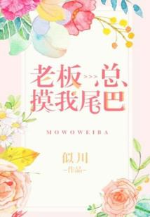 淮南财税律师