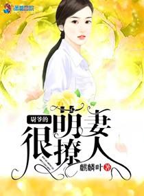 职称中级会计证书图片