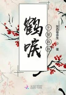 东奥慧慧更新