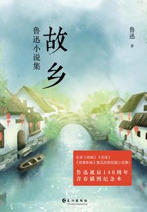 安徽智能财税比赛时间