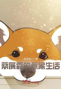 cpa审计高顿教材