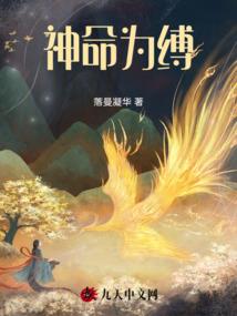初级会计实务科目怎么分