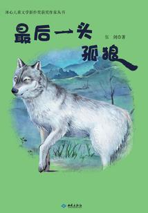 东奥精神实践报告