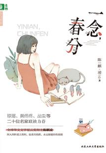 财税ip排名