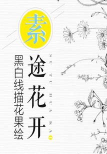 承德中级会计学习群