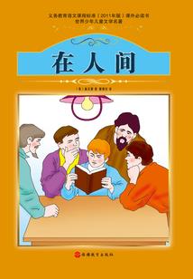 跨国会计师收入
