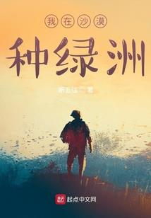 513号初级会计