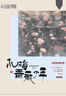 初级会计四川省报名入口
