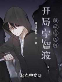 初级会计课程视频教程