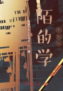 福建会计师工资
