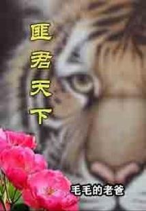 cpa法考出路