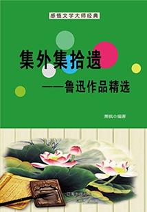 初级会计教学哪些内容