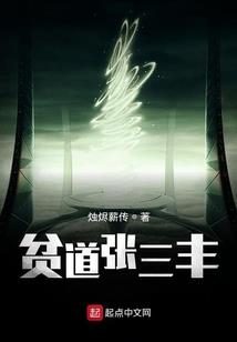 正高会计师教授待遇