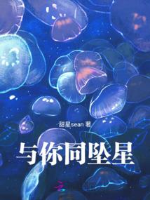 公路会计