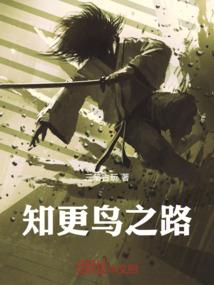 怎么看初级会计考试时间
