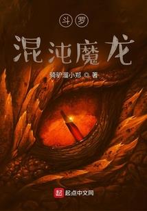 总会计师设置的条件
