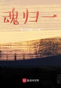 诏安沃德财税