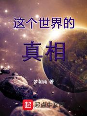 高级会计师评审业绩证明