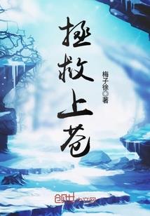 初级会计报考条件2019