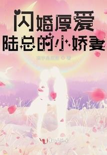 公证号龙江财政
