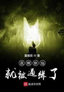 东奥交通服务有限公司