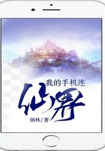 简单的会计制度