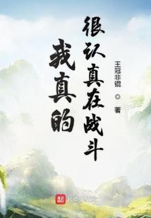东奥哪个好用
