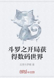 中国财税凤姐