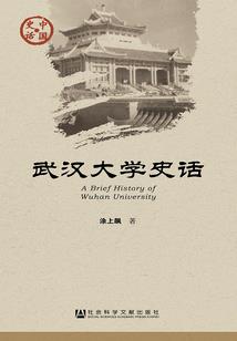 中国注册会计师执业规范