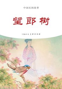 华欣财税