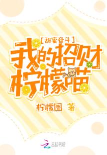 财政市本级