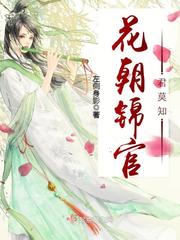 财政先进总结