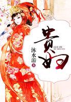 欧洲会计跟国内会计工作