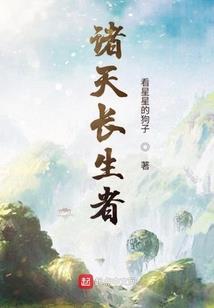 宝丰会计师培训排名