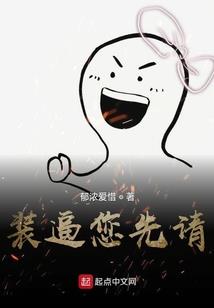 总会计师素质提升