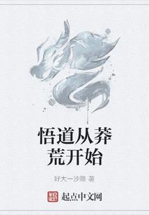 cpa注会网络教育
