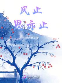会计中级考试先报考哪门