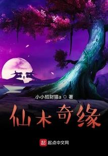 我的东奥会计