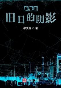 中级会计经济法老侯