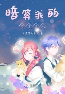 河南省财政局会计处