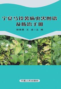 注册会计师挂靠清查