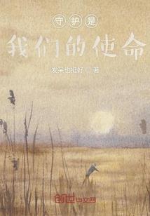 主管财税