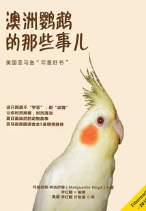 增加财政补助规模的请示