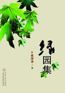 财政告知函